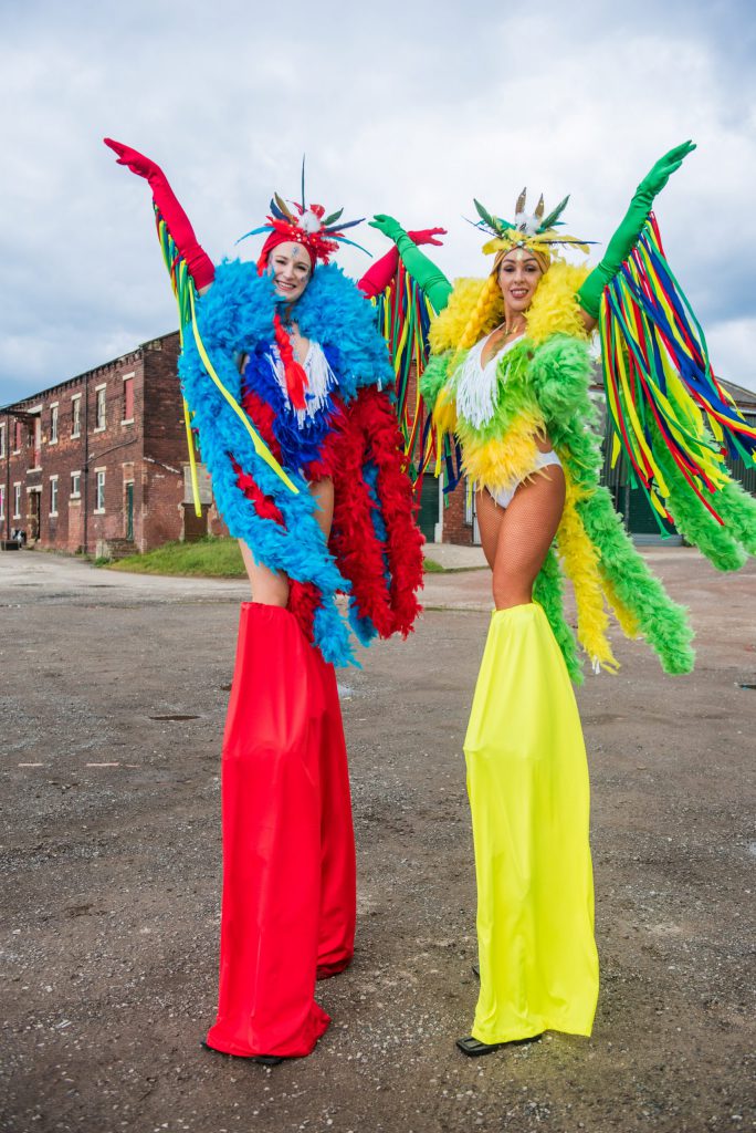 Tropical bird stilt walkers