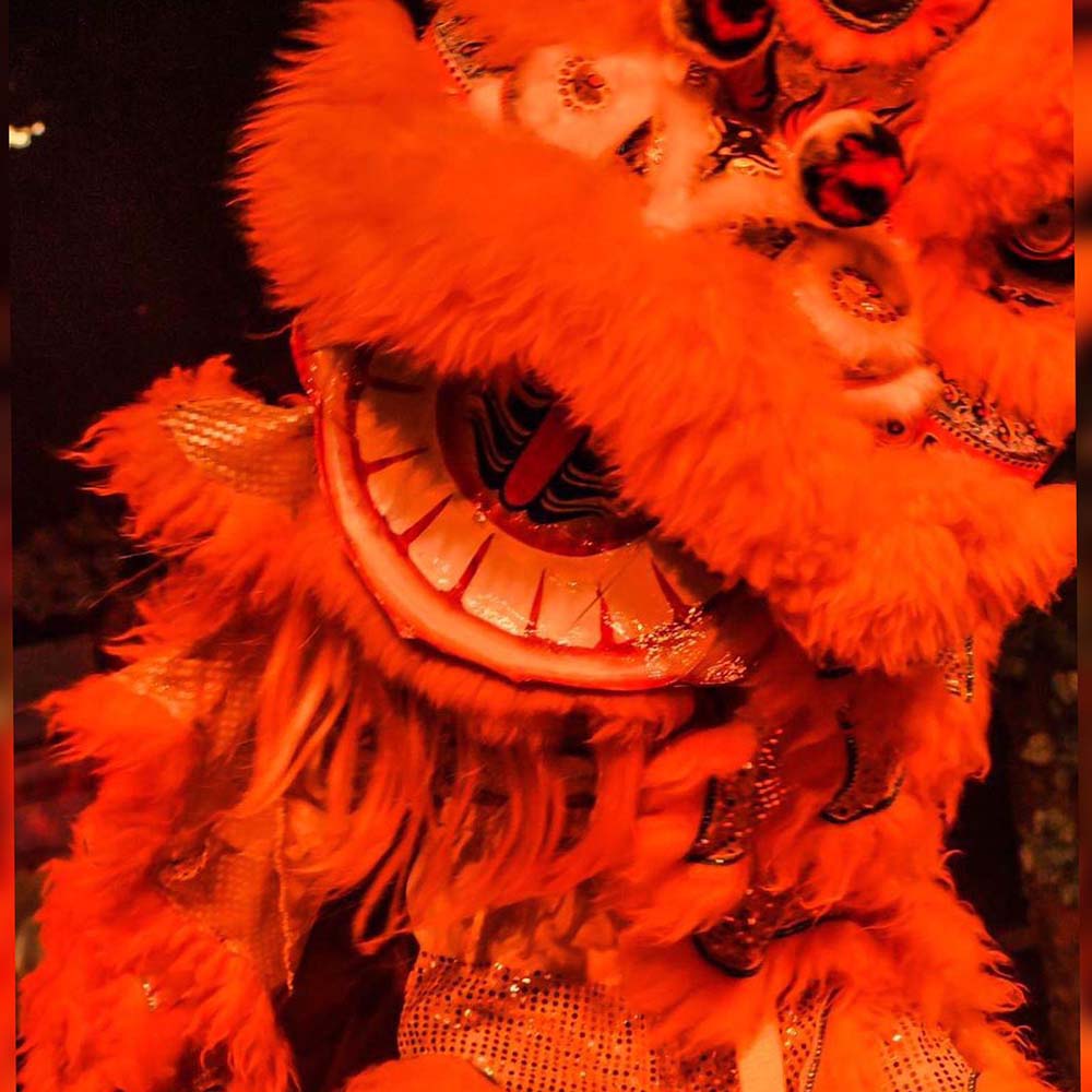 Oriental Chinese Lion Performers Acts for hire