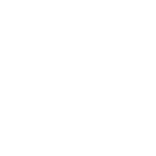 500mini