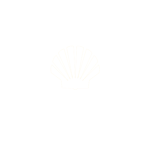 500shell